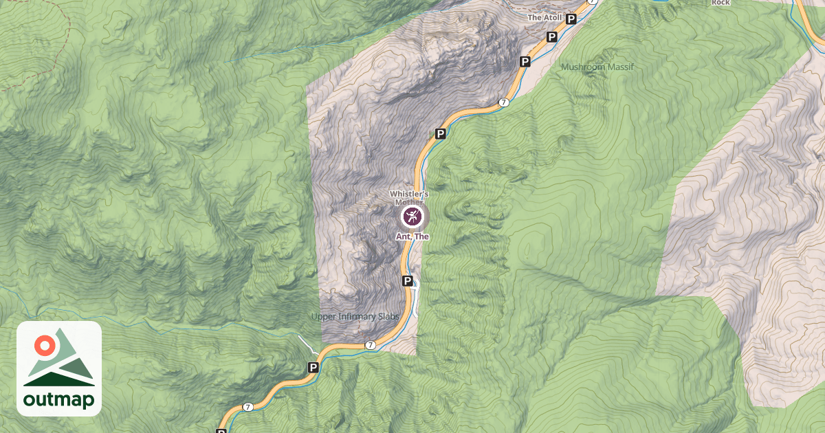 Map of Ant, The