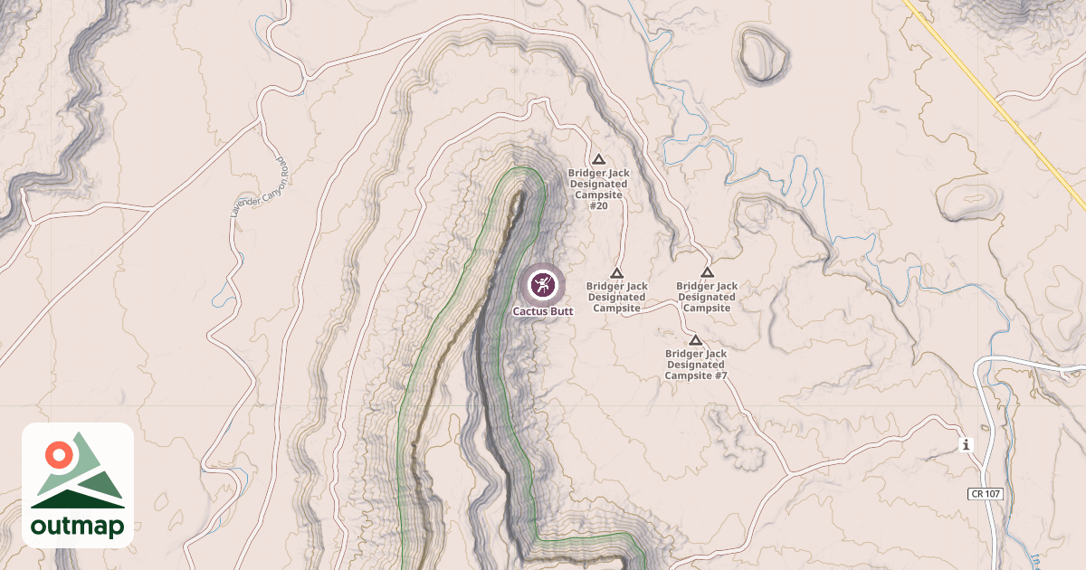 Map of Cactus Butt