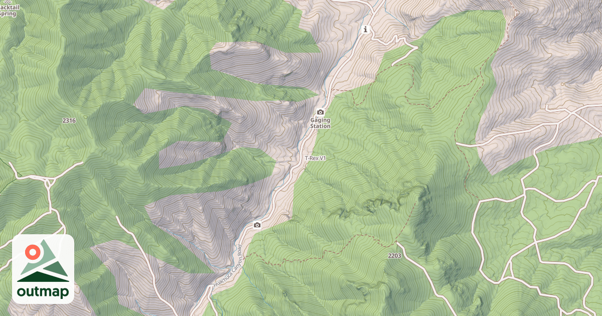 Map of T-Rex