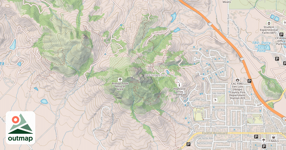 Map of Back Surgery