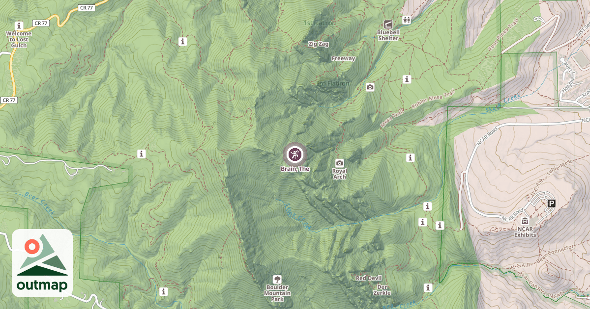 Map of Brain, The