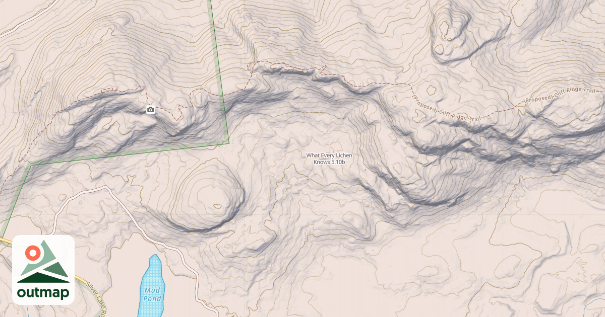 Map of What Every Lichen Knows