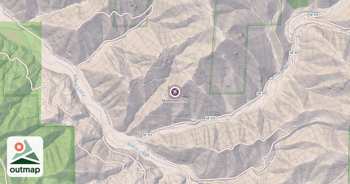 Map of Mushroom, The
