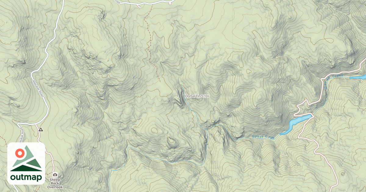Map of Dorsal Fin