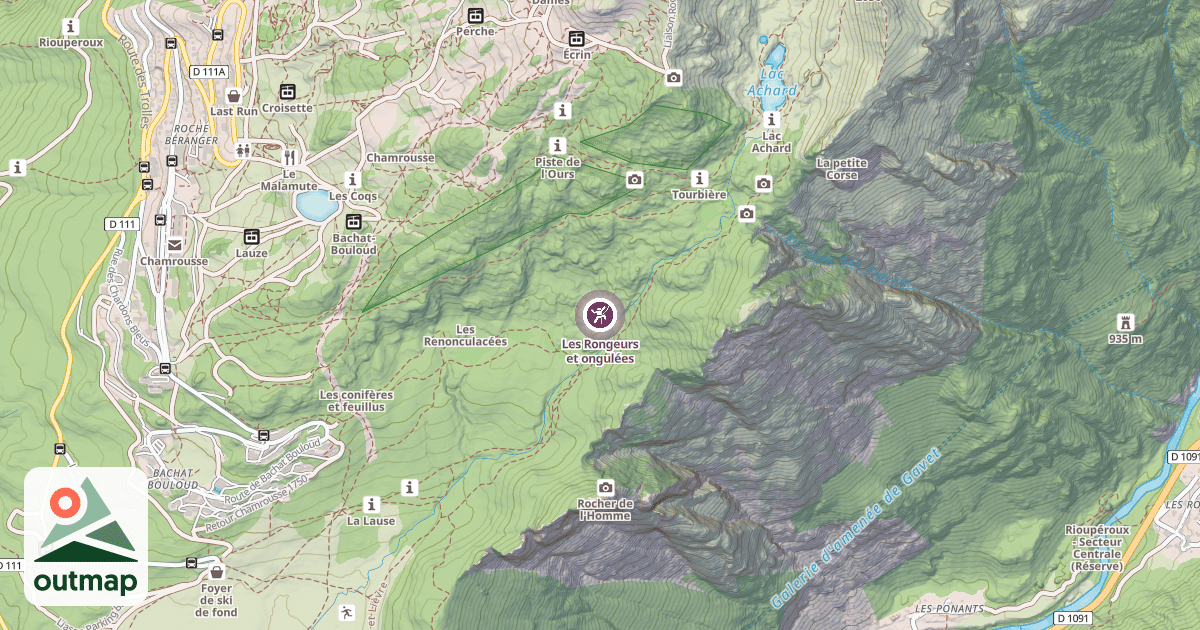 Map of Les Rongeurs et ongulées