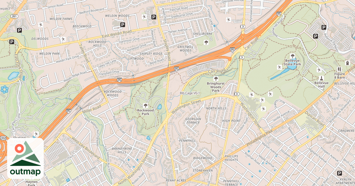 Map of Rib Cage
