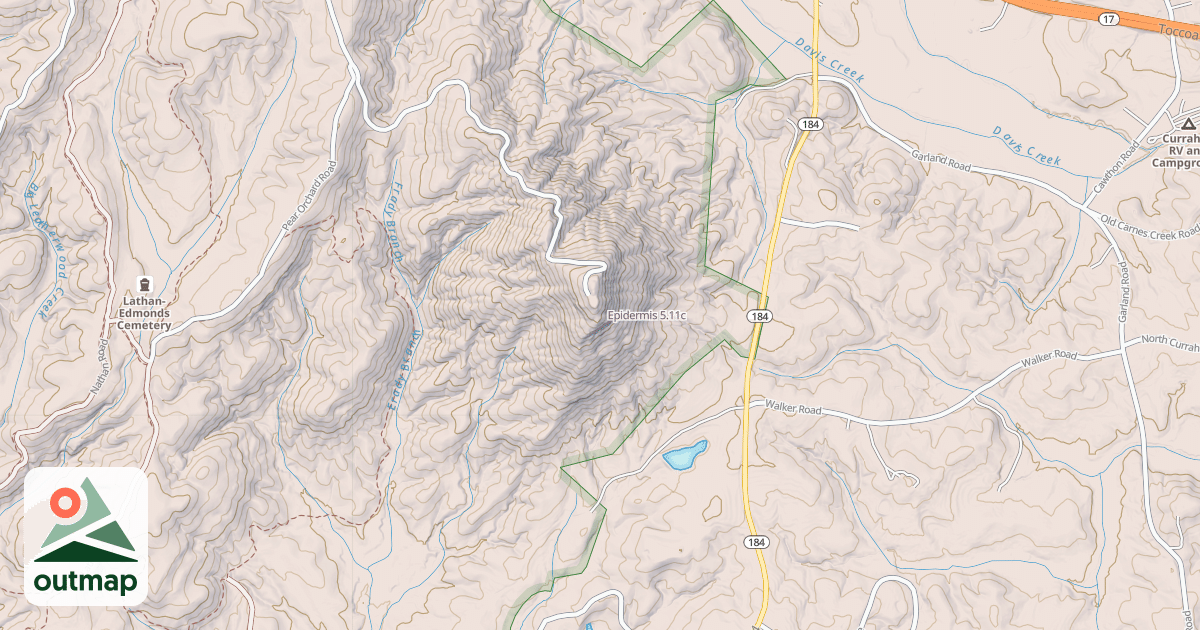 Map of Epidermis