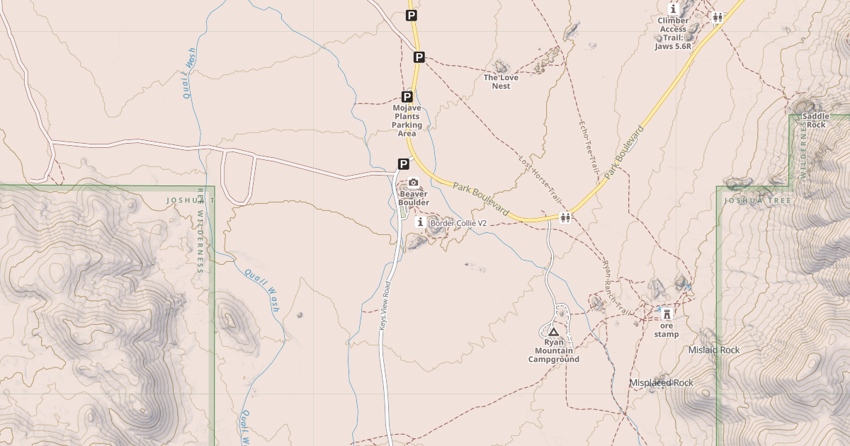 Map preview of Border Collie