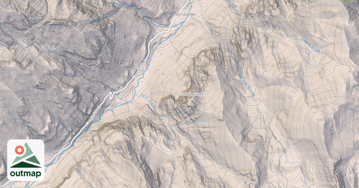 Map of Chopped Suey