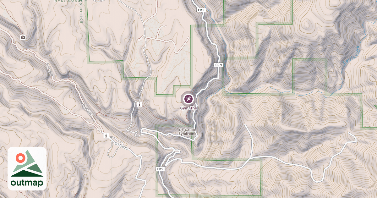 Map of Gym, The