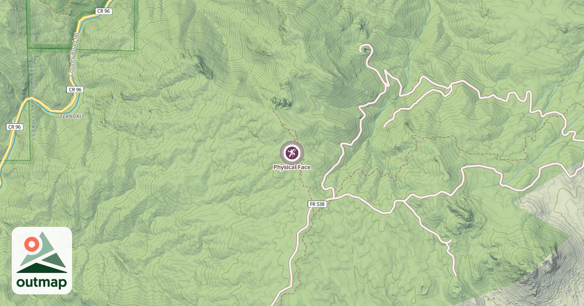Map of Physical Face