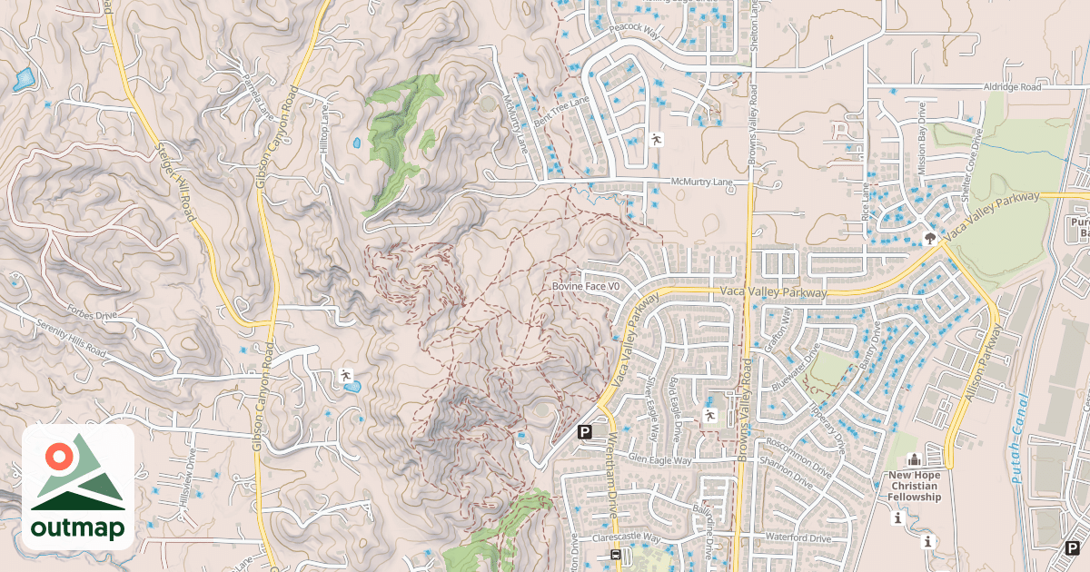 Map of Bovine Face