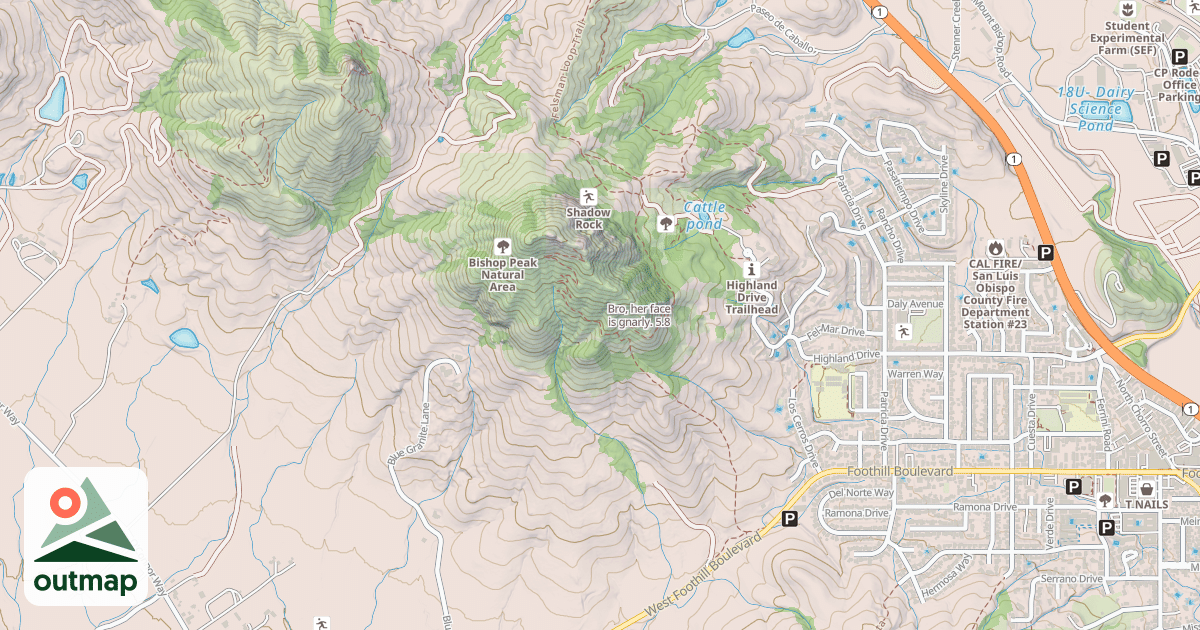 Map of Bro, her face is gnarly.