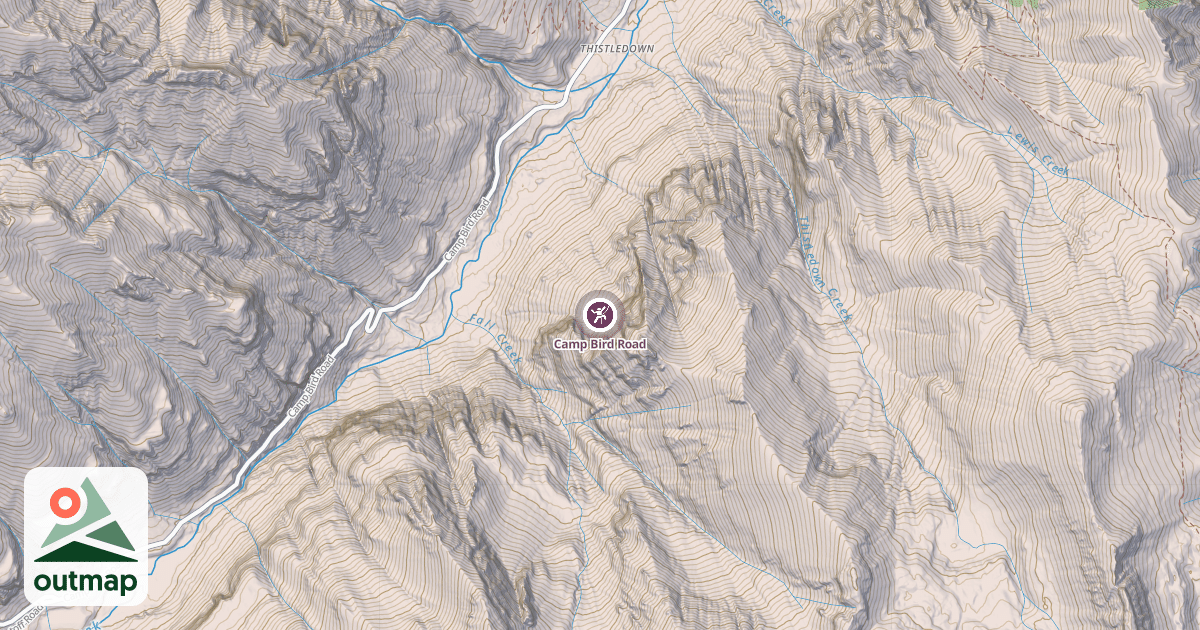 Map of Camp Bird Road