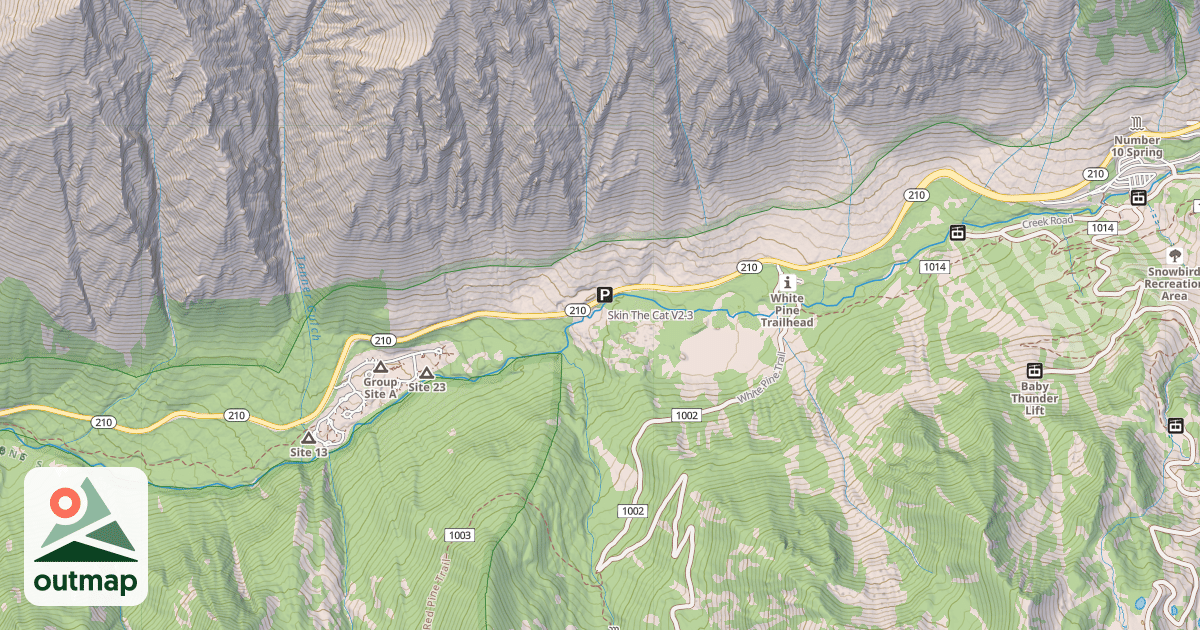 Map of Skin The Cat