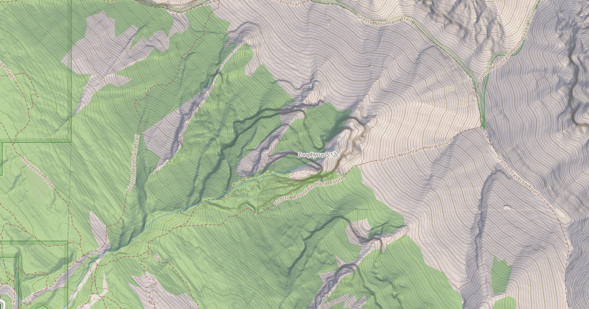 Map preview of Zoophycus