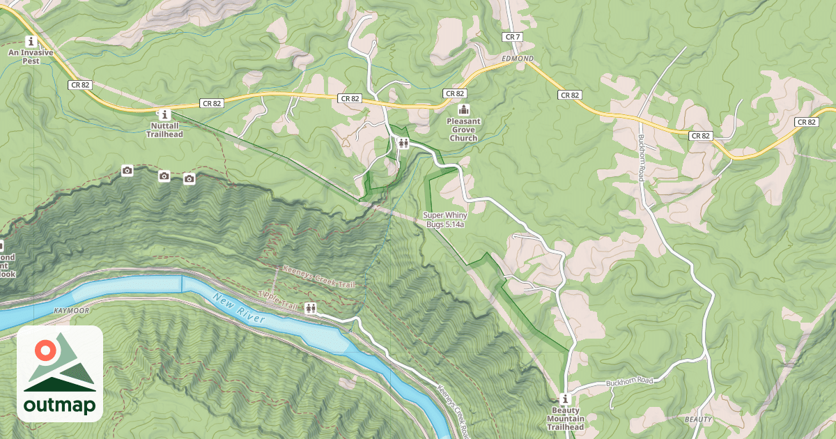 Map of Super Whiny Bugs