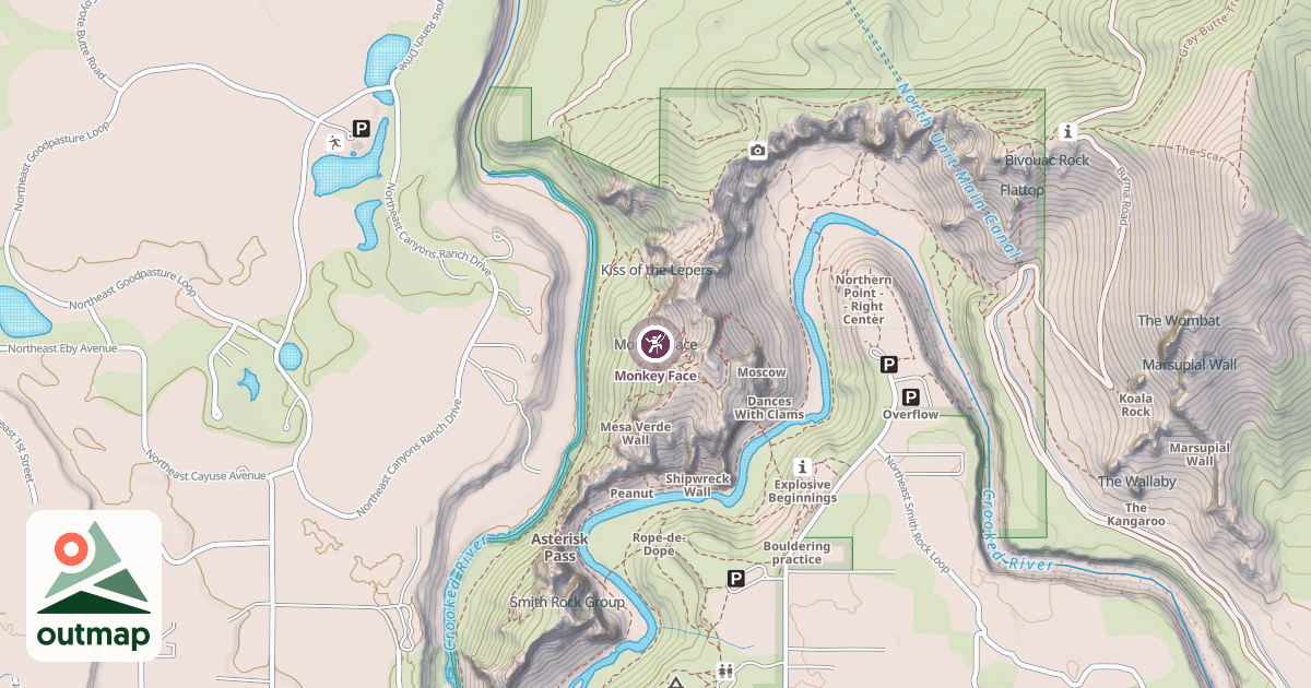 Map of Monkey Face