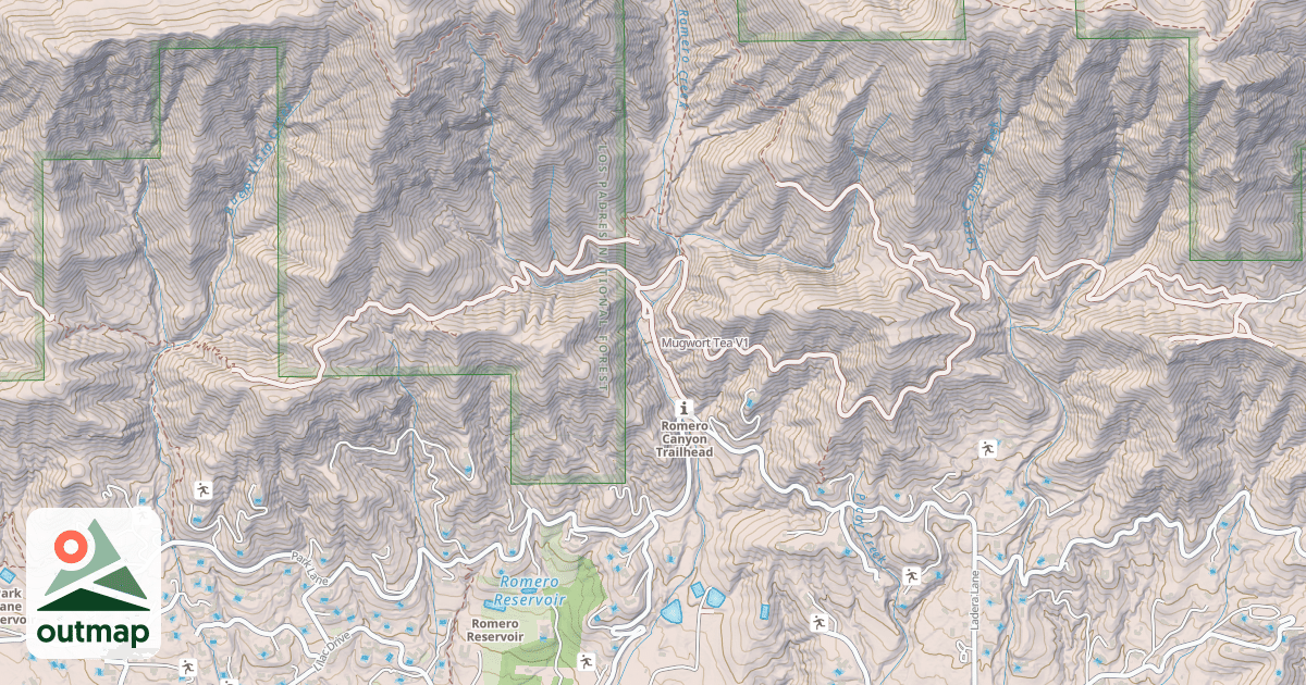 Map of Mugwort Tea