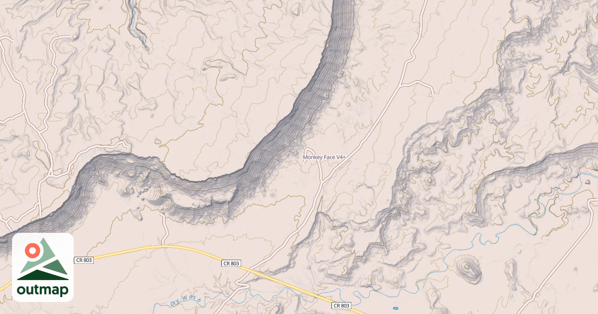Map of Monkey Face