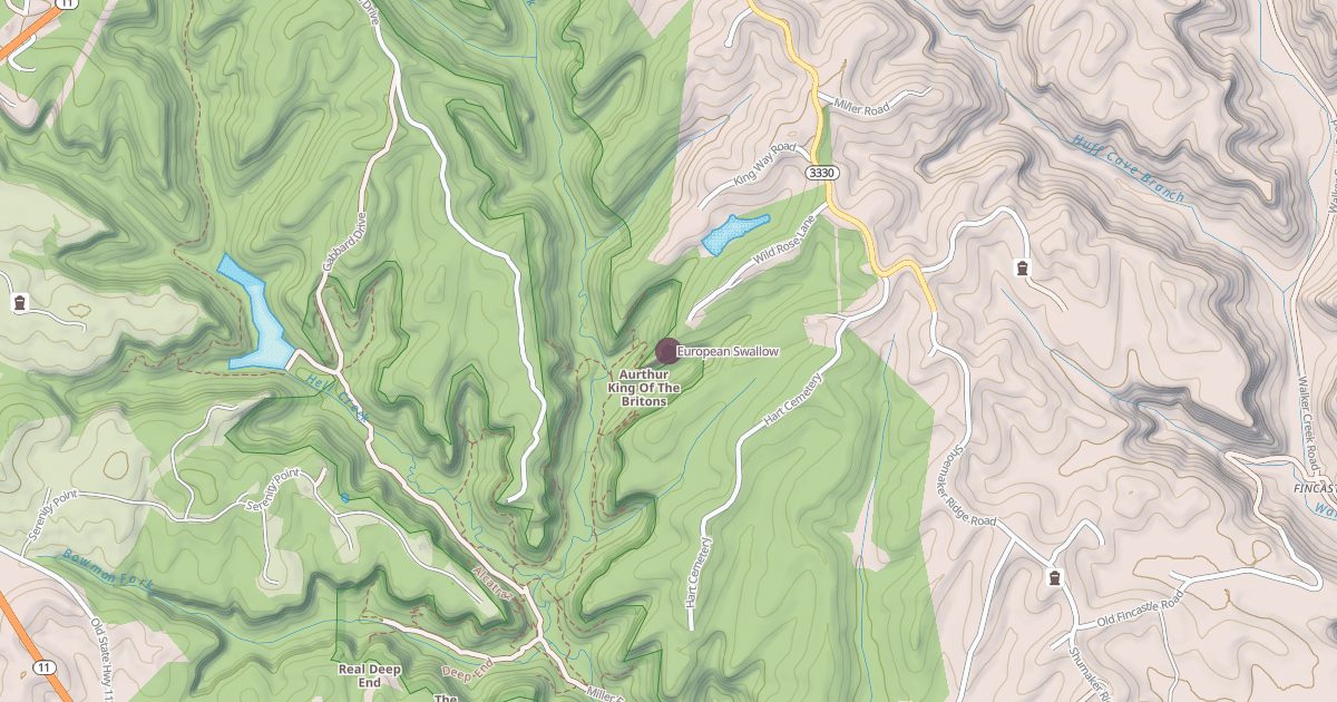 Map preview of European Swallow