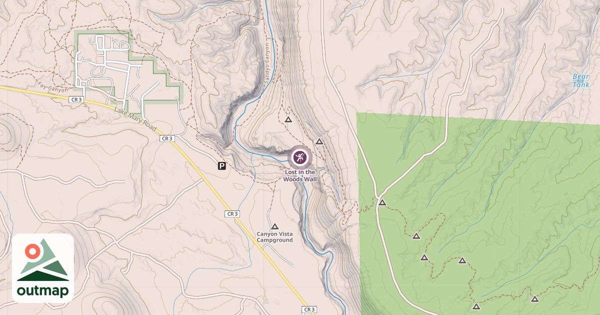 Map of Lost in the Woods Wall