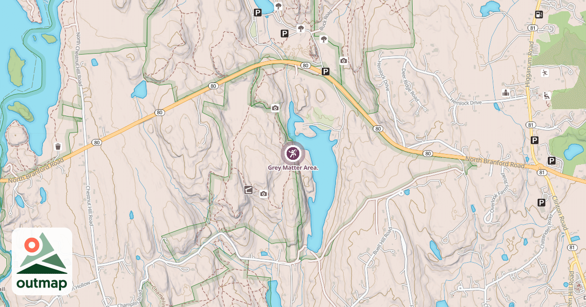 Map of Grey Matter Area.