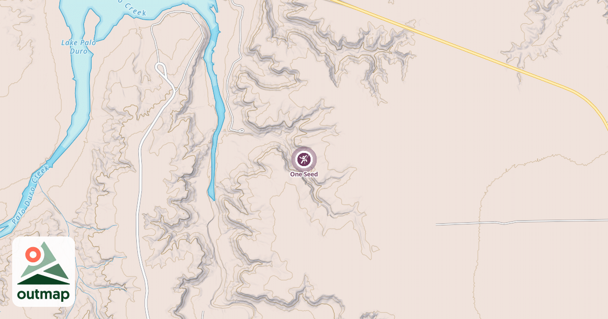 Map of One Seed