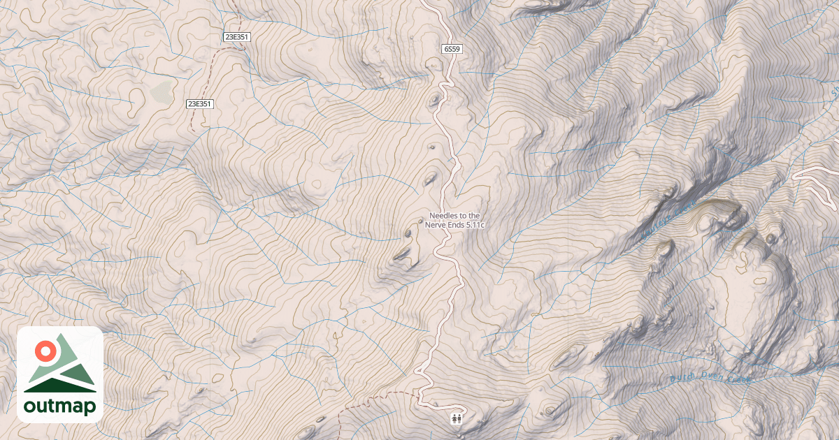 Map of Needles to the Nerve Ends