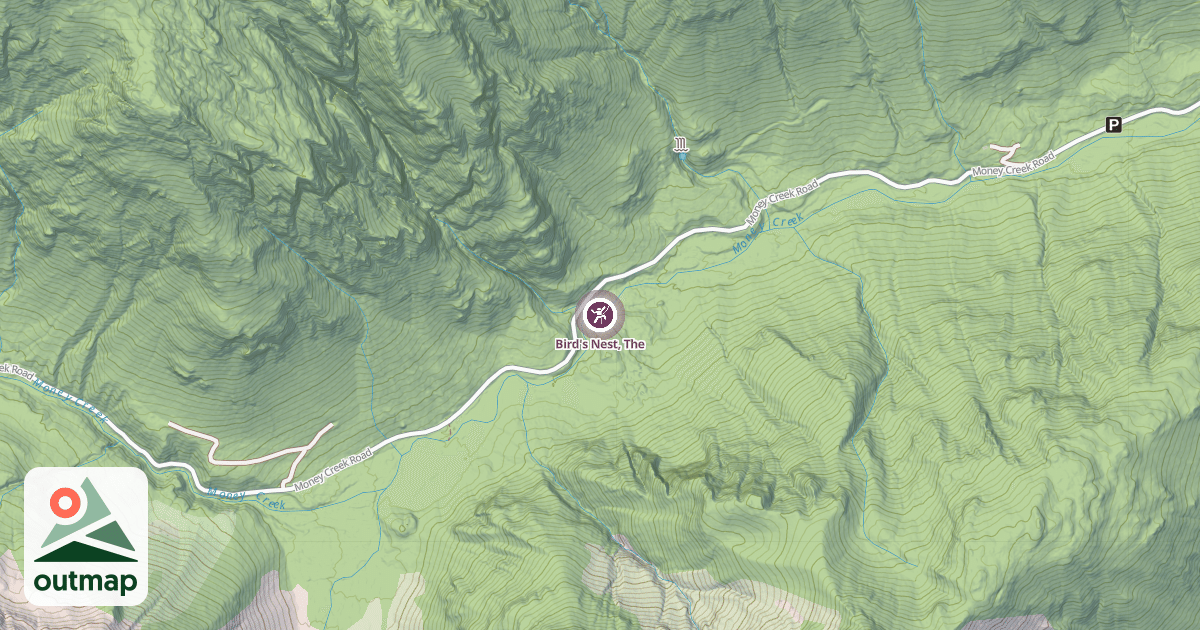 Map of Bird's Nest, The