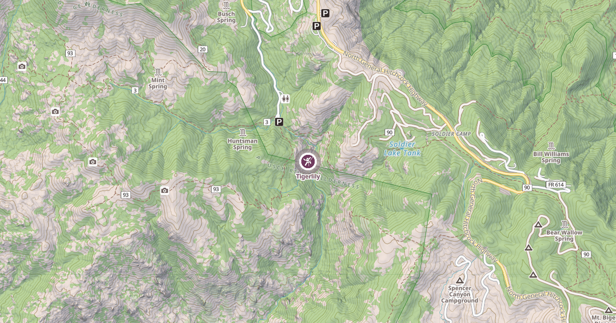 Map preview of Tigerlily