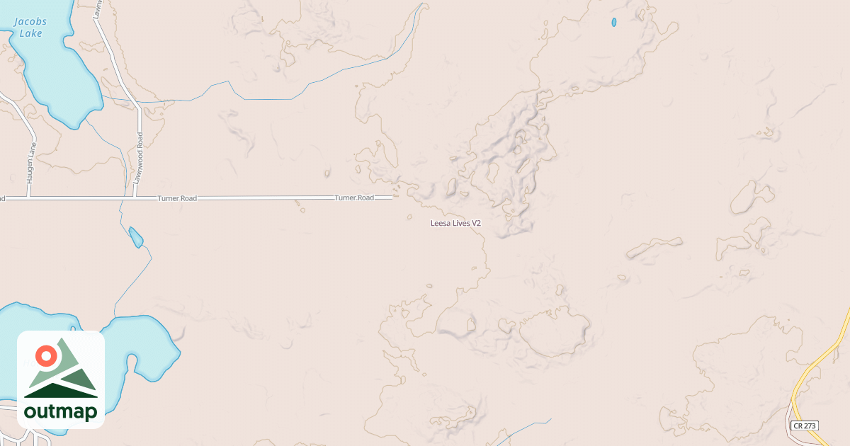Map of Leesa Lives