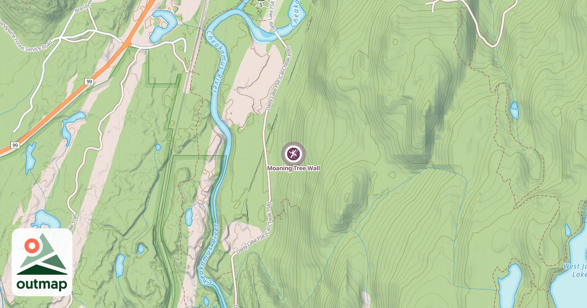 Map of Moaning Tree Wall