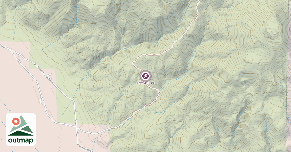 Map of Cow Skull #4
