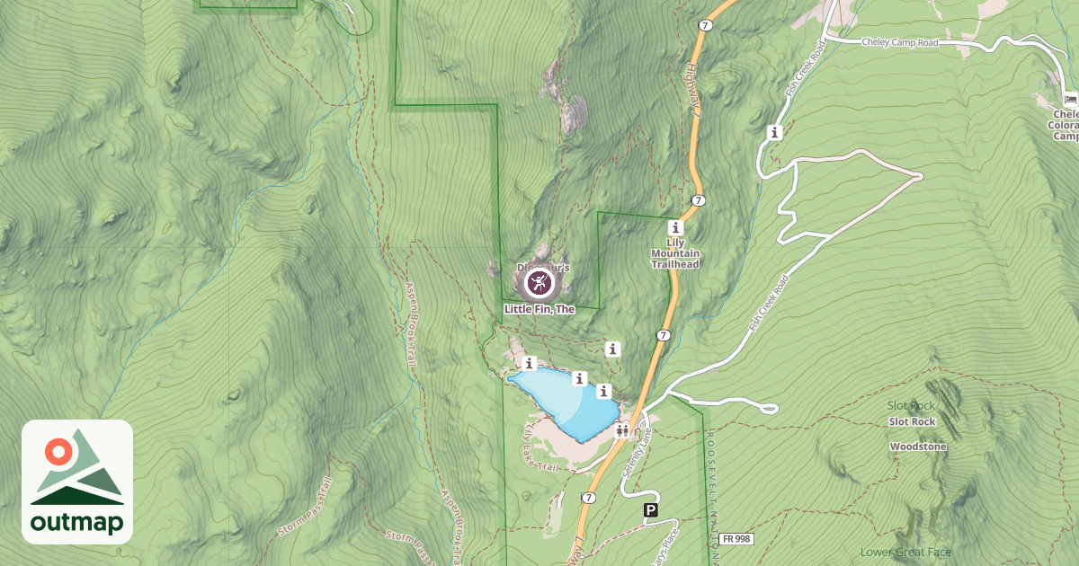 Map of Little Fin, The