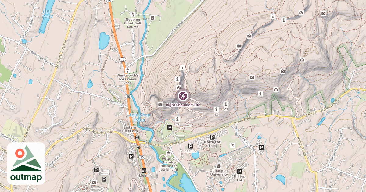 Map of Right Shoulder, The