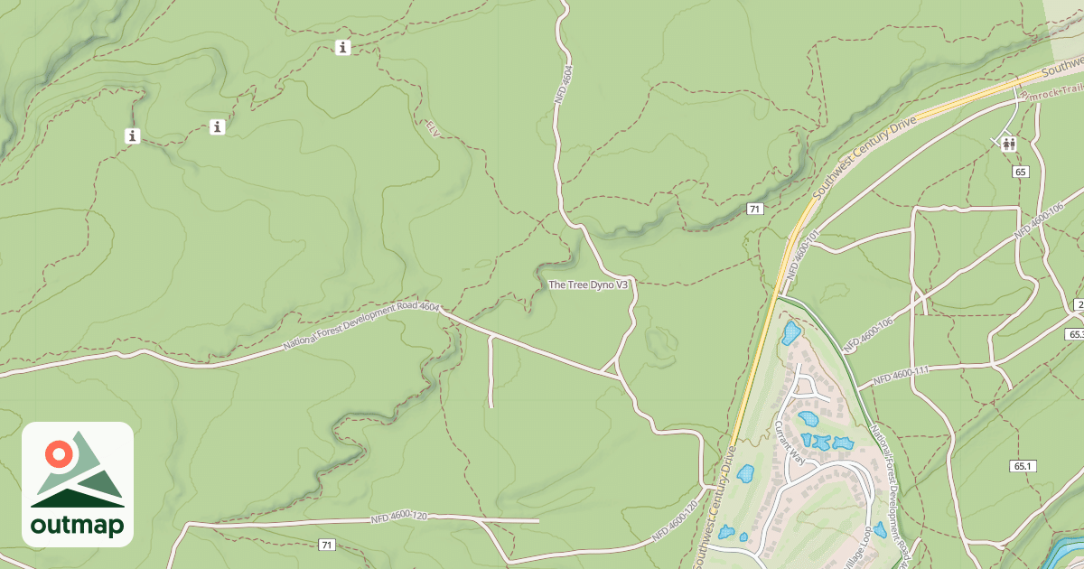 Map of The Tree Dyno