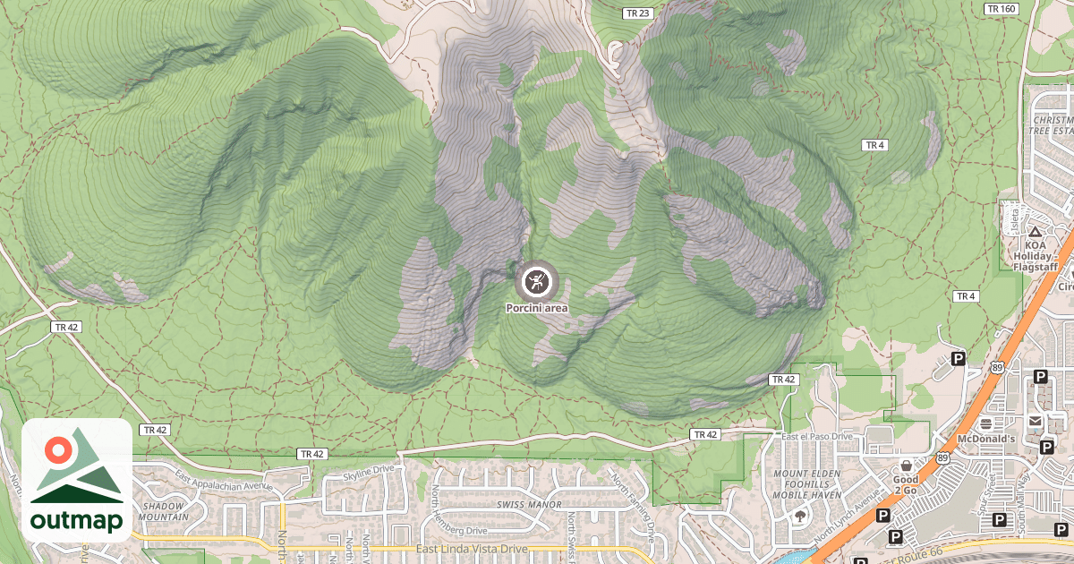 Map of Porcini area