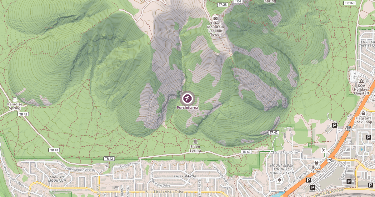 Map preview of Porcini area