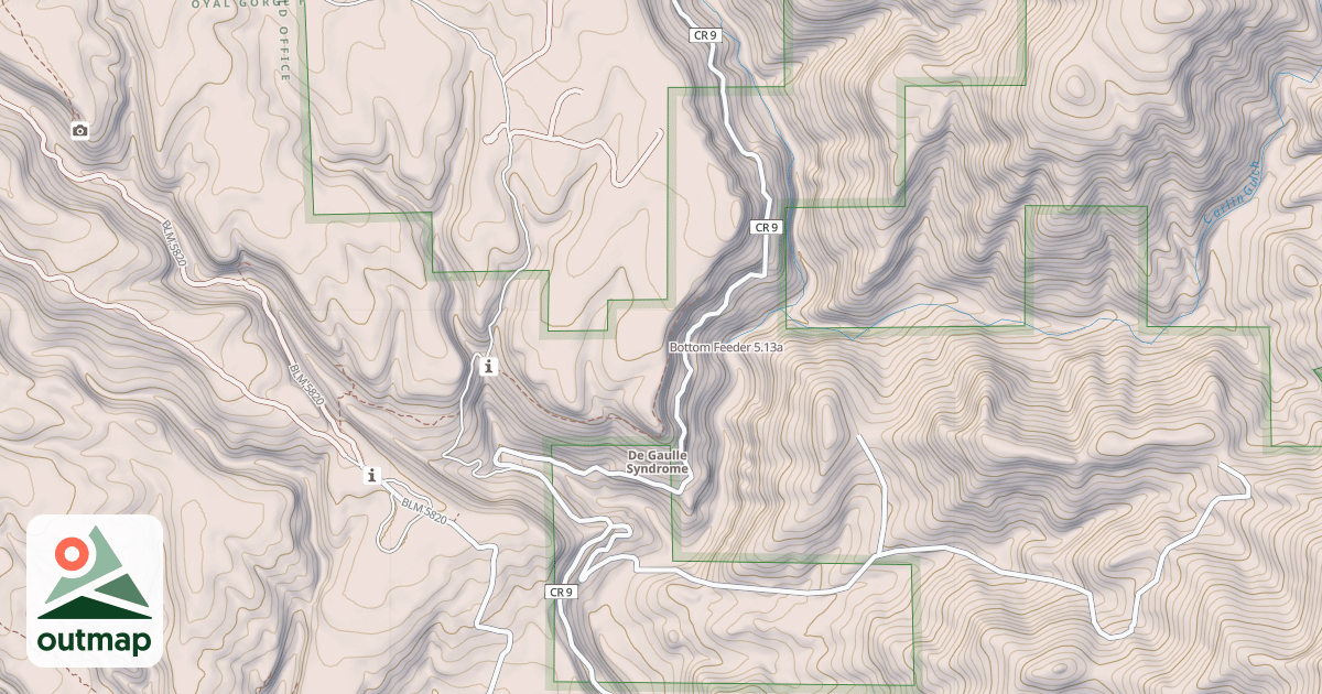 Map of Bottom Feeder