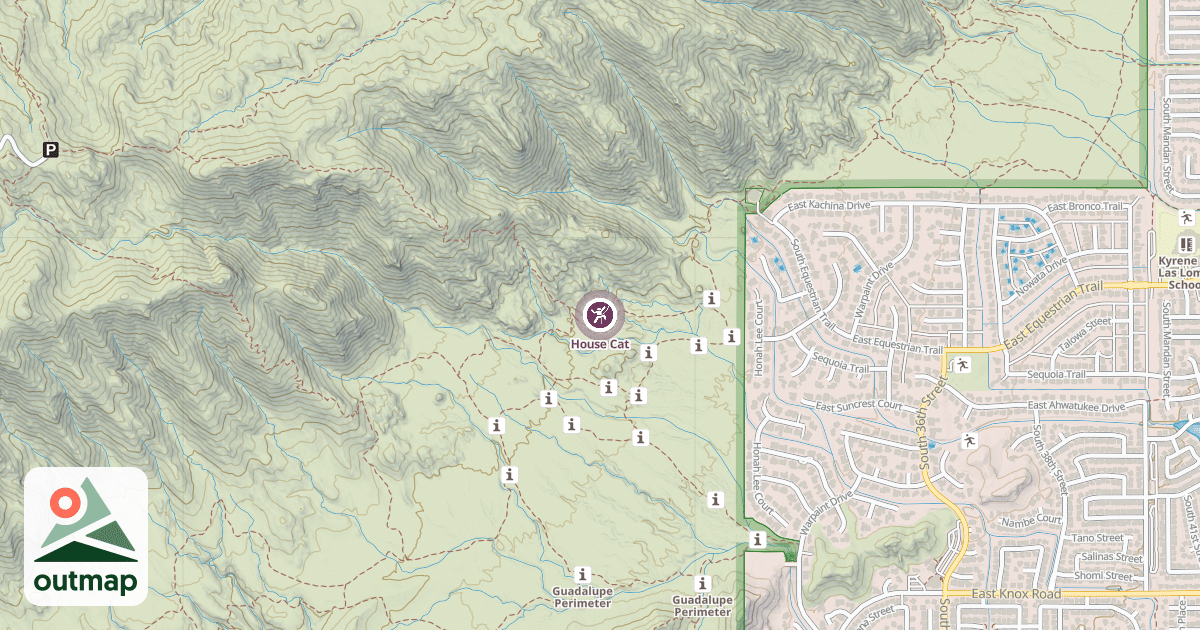 Map of House Cat