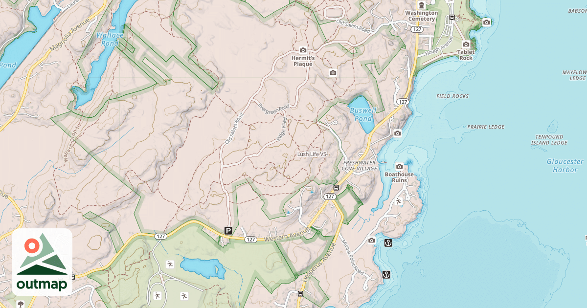 Map of Lush Life