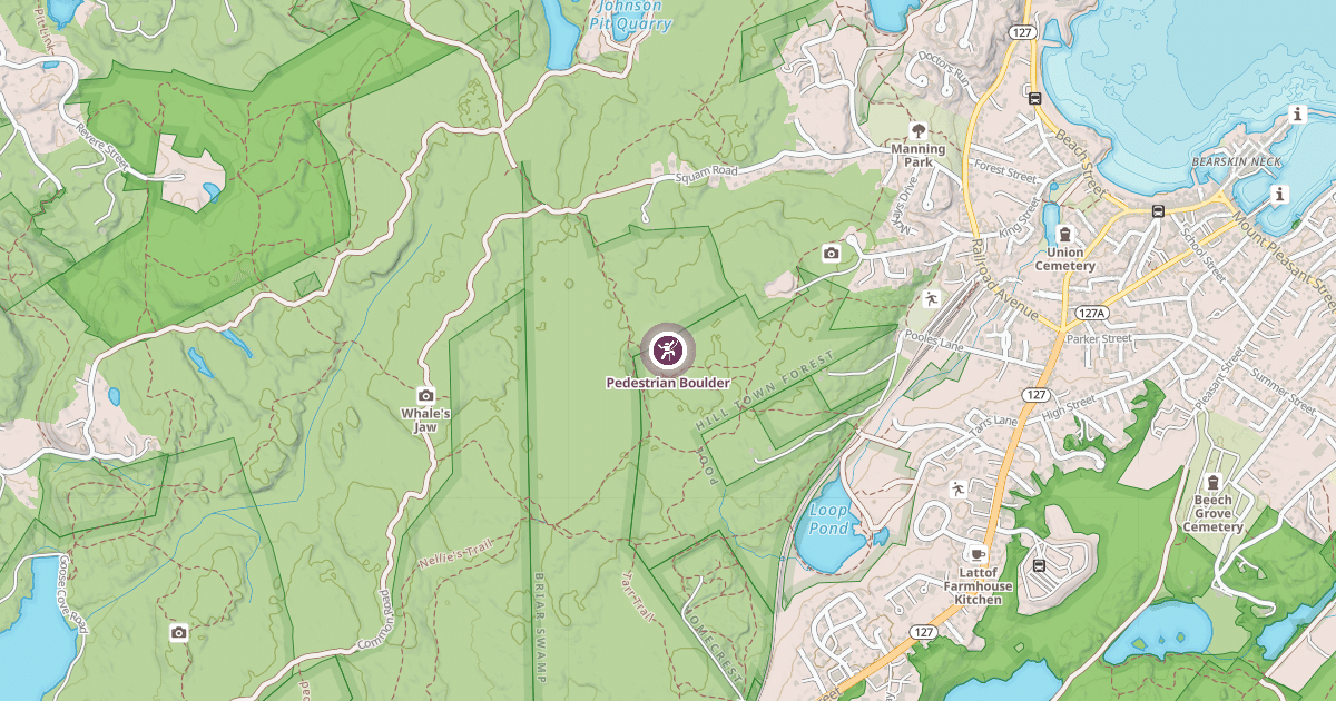 Map preview of Pedestrian Boulder