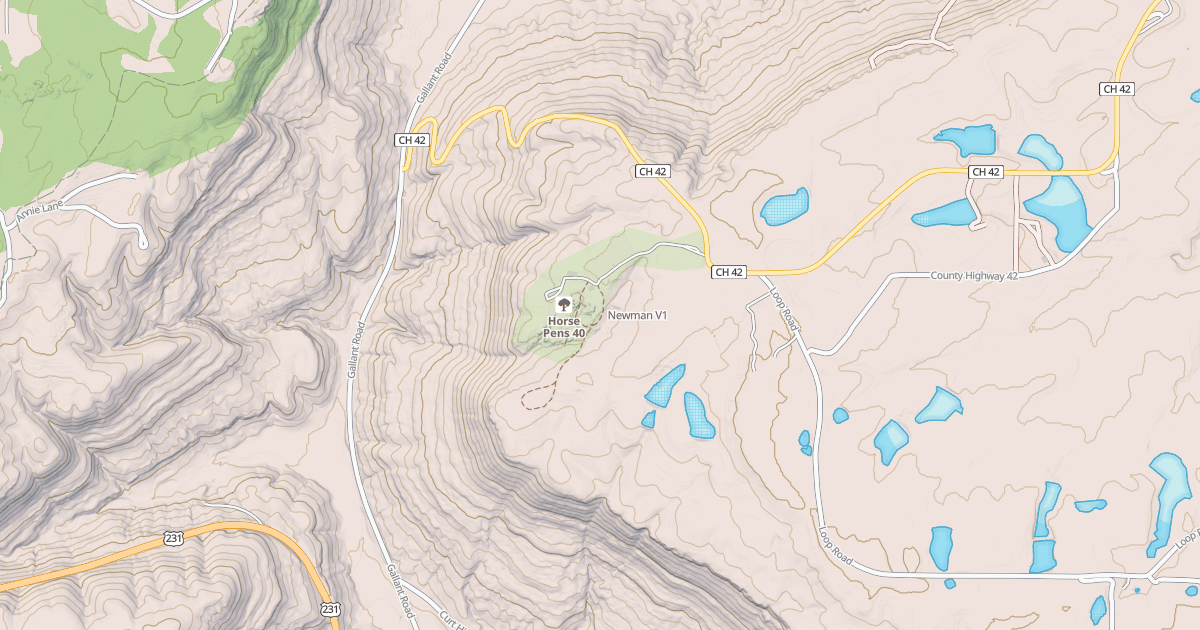 Map preview of Newman