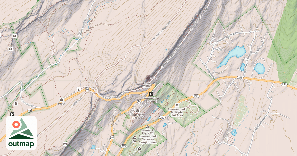 Map of Wrist