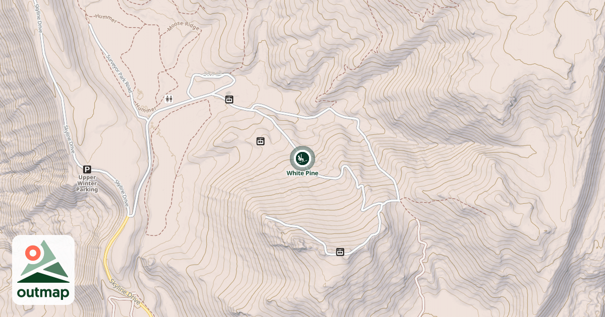 Map of White Pine