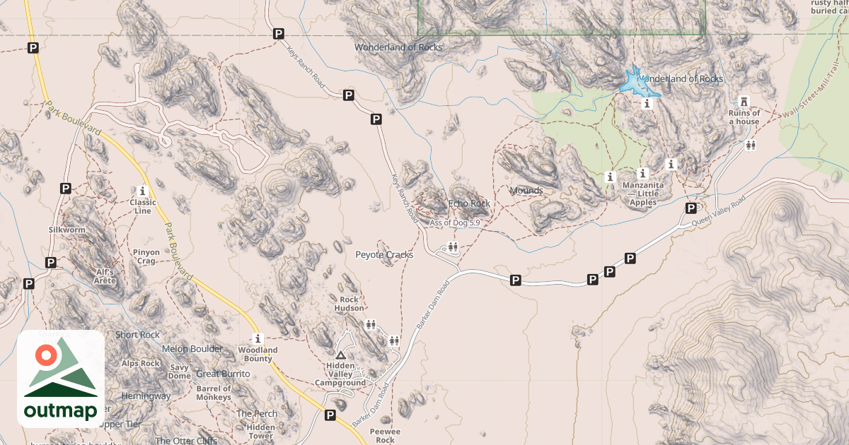 Map of Ass of Dog