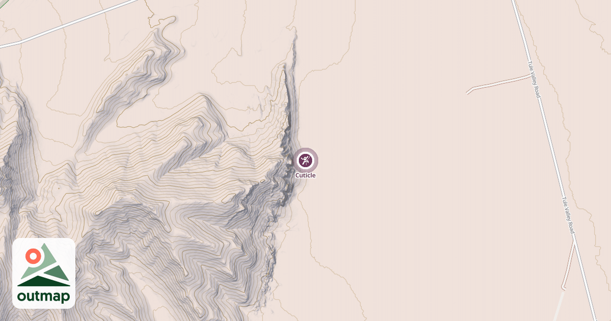 Map of Cuticle