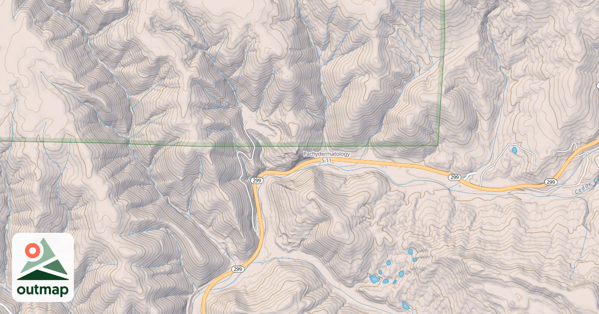 Map of Pachydermatology