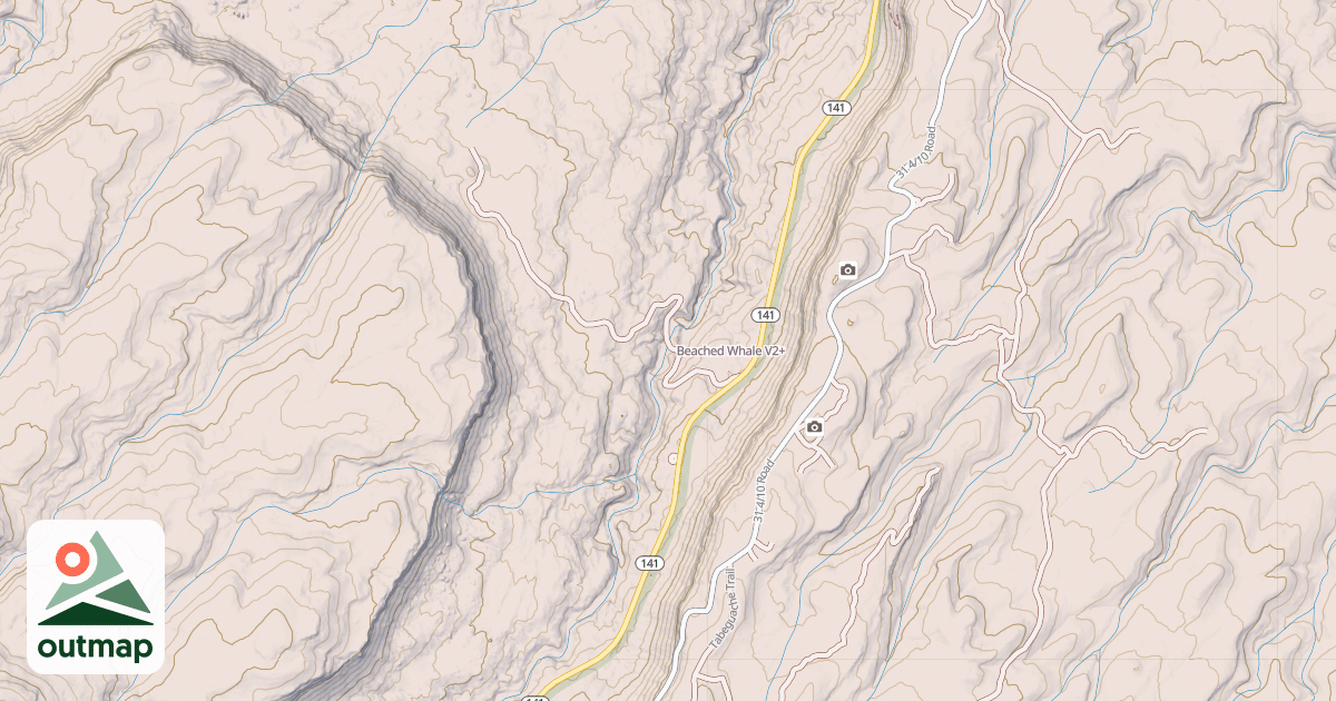 Map of Beached Whale